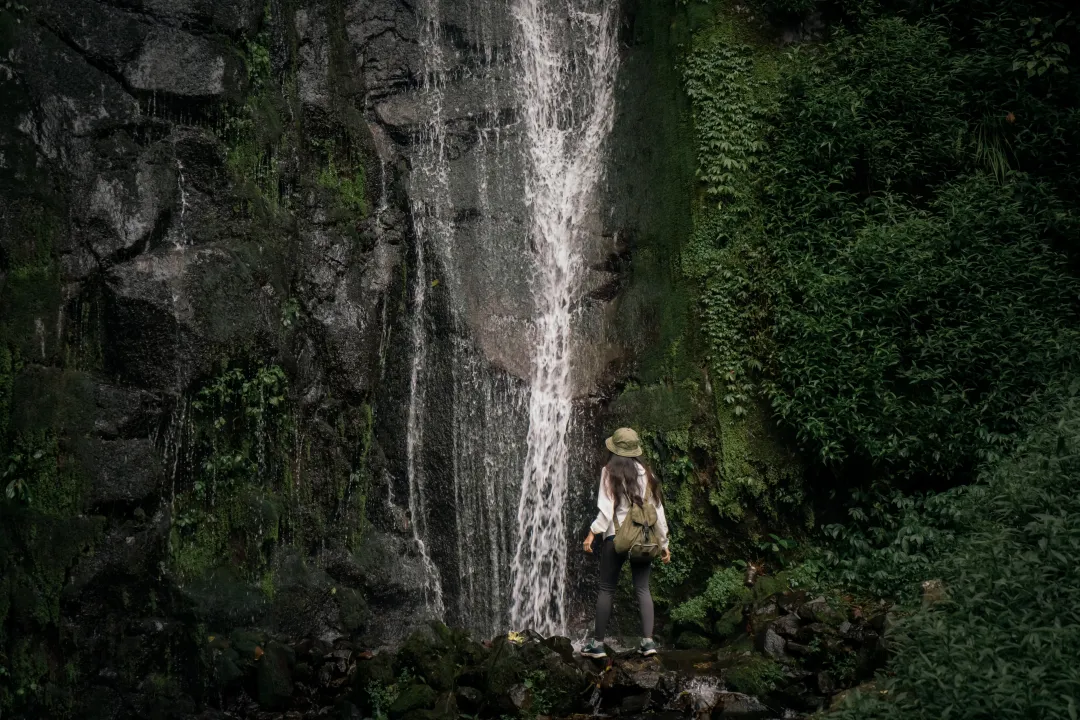 Hiker standing before a waterfall surrounded by lush forest